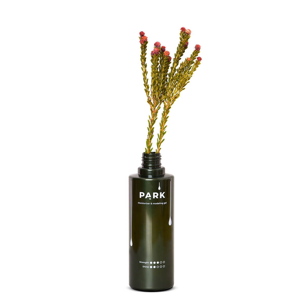 MOISTURIZER & MODELING GEL